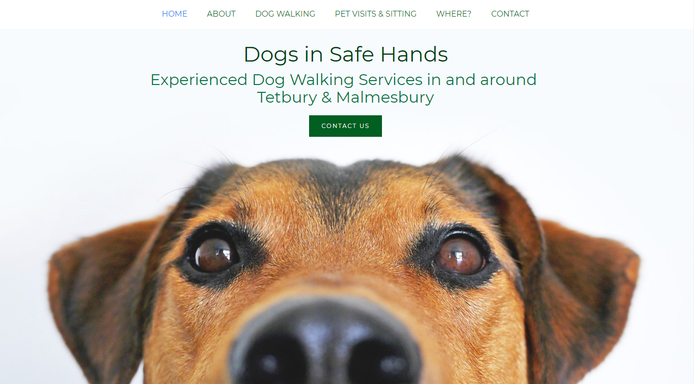 Allabout Sites - Dogs in Safe Hands